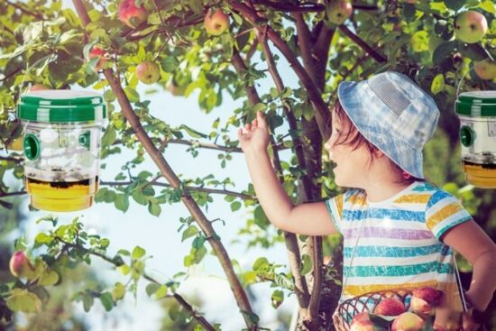 3 Pack Wasp Traps Outdoor Hanging