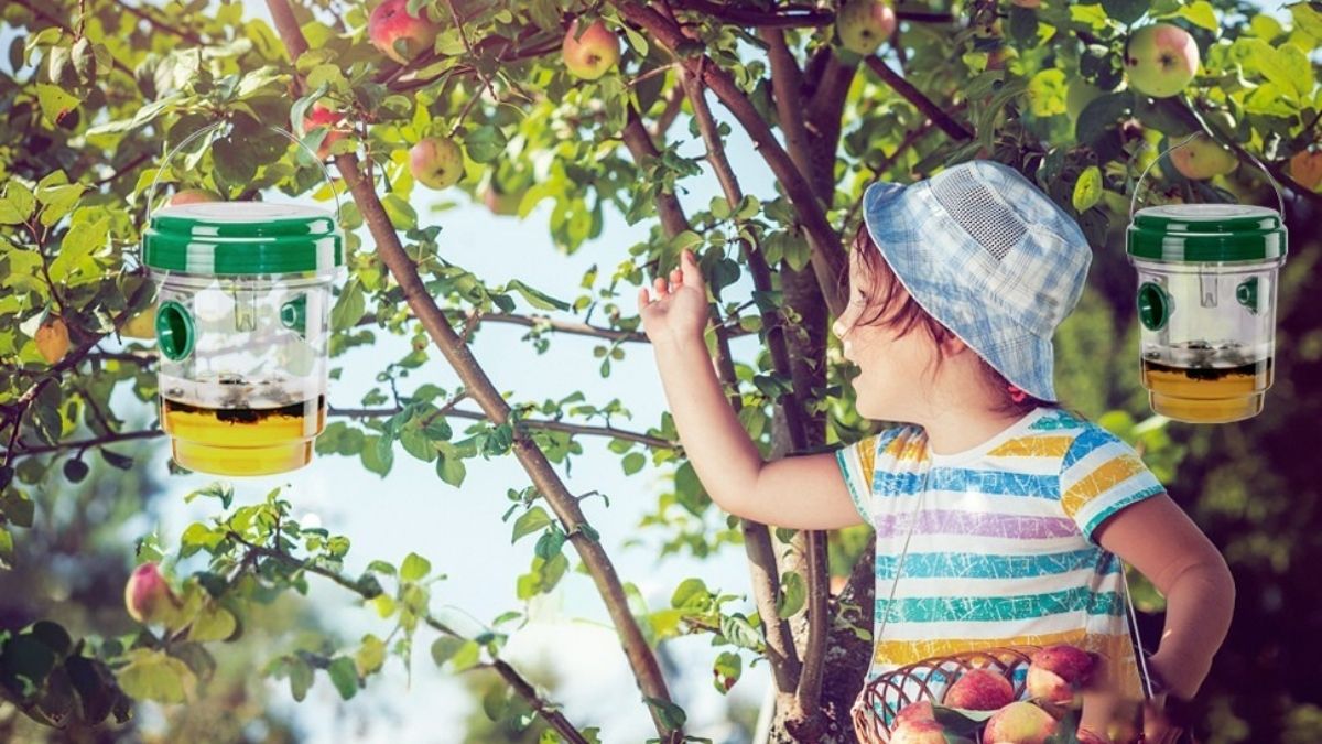 3 Pack Wasp Traps Outdoor Hanging