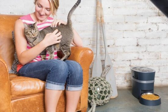 PetSafe Smart Feed Automatic Feeder