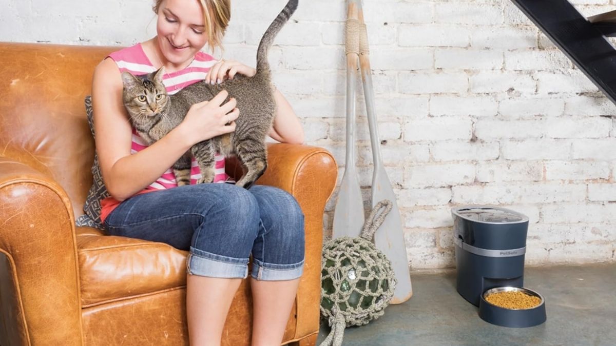 PetSafe Smart Feed Automatic Feeder