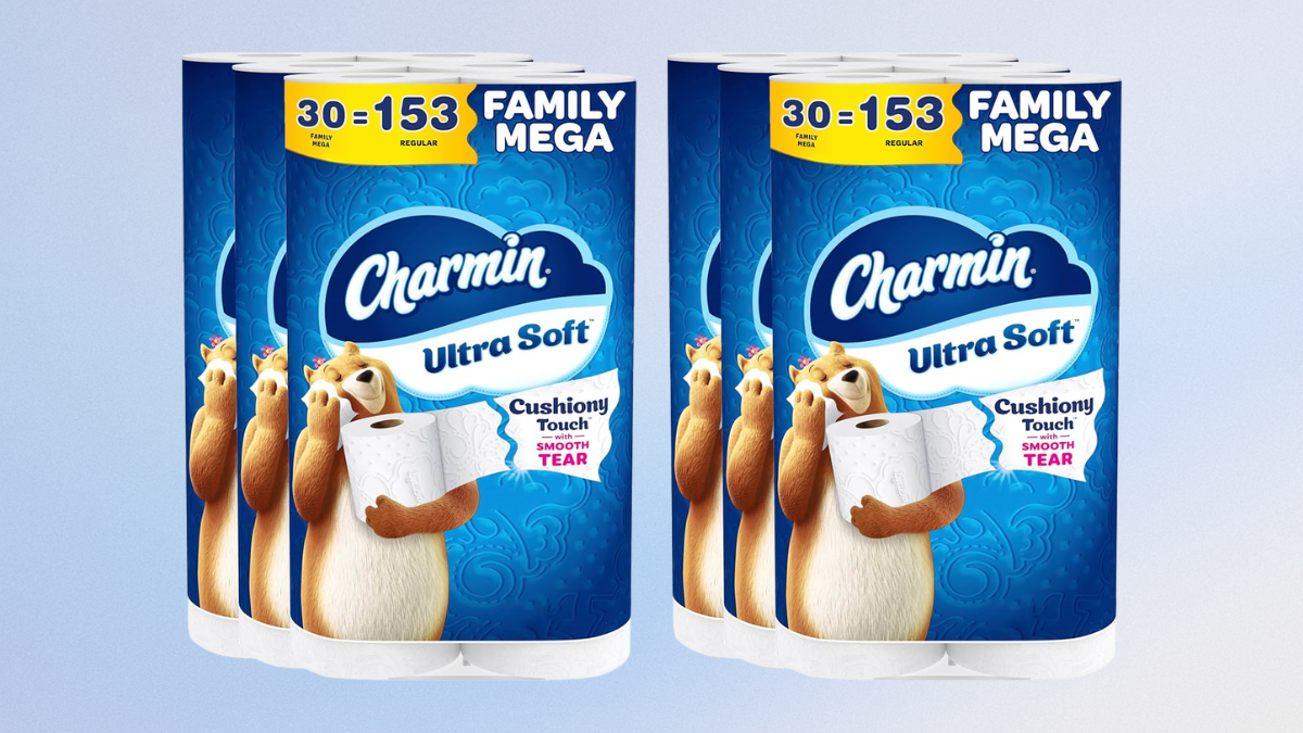 Charmin Ultra Soft Cushiony Touch Review