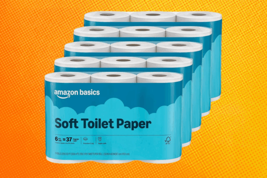 Amazon Basics 2-Ply Soft Toilet Paper Review