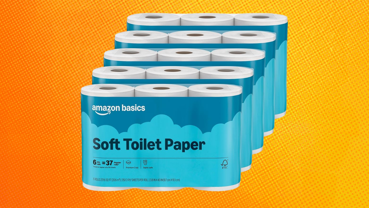 Amazon Basics 2-Ply Soft Toilet Paper Review
