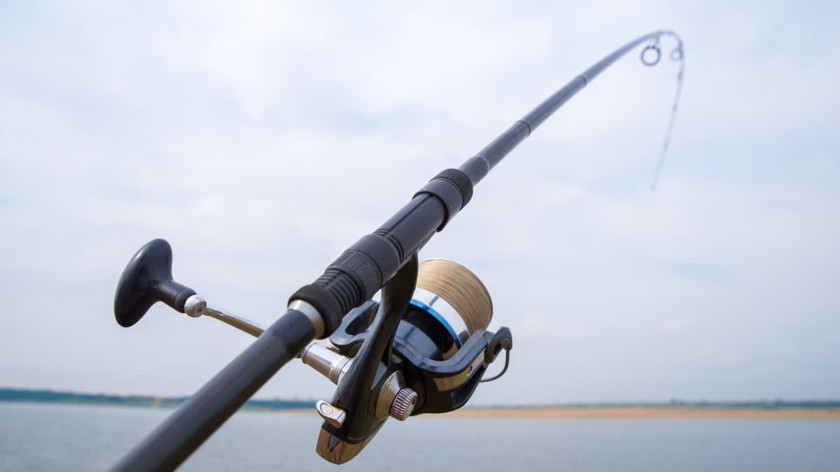 Best fishing rod and reel combo from Bass Pro Shops displayed for bass fishing performance