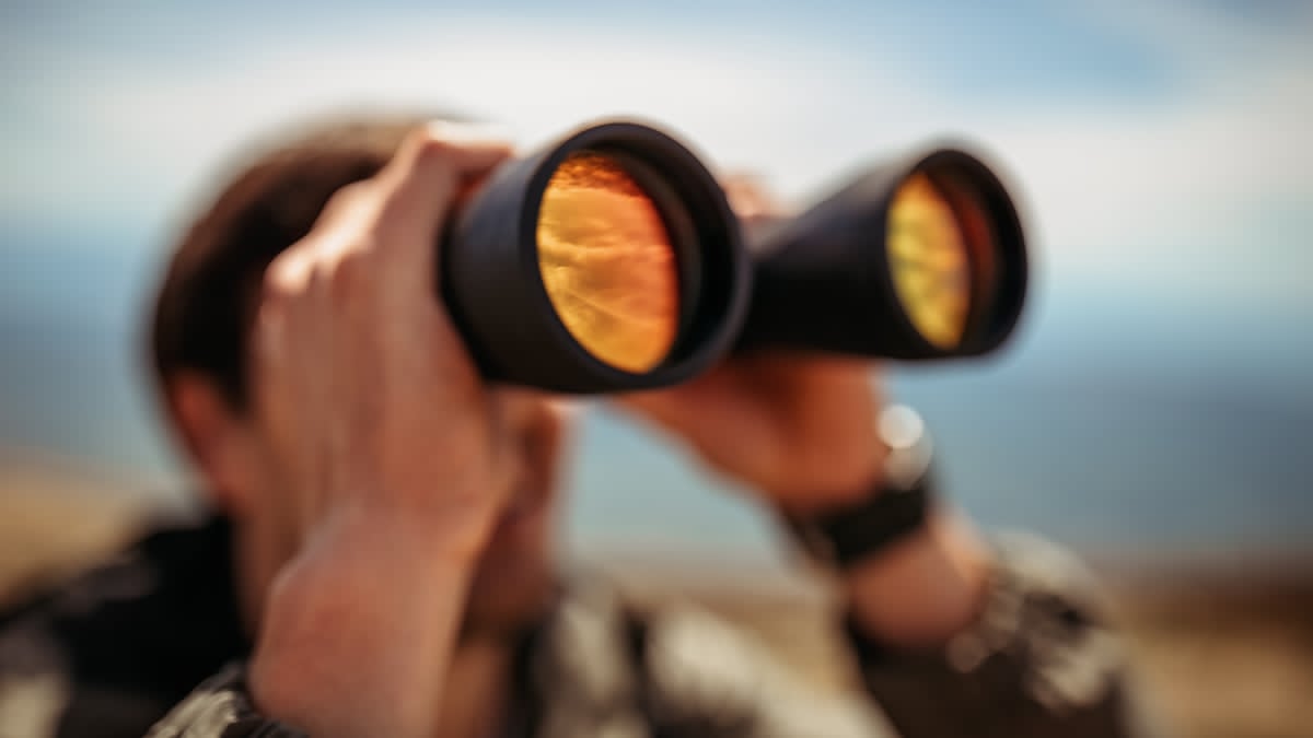 Best hunting binoculars on Cabela's featuring HD glass and waterproof construction